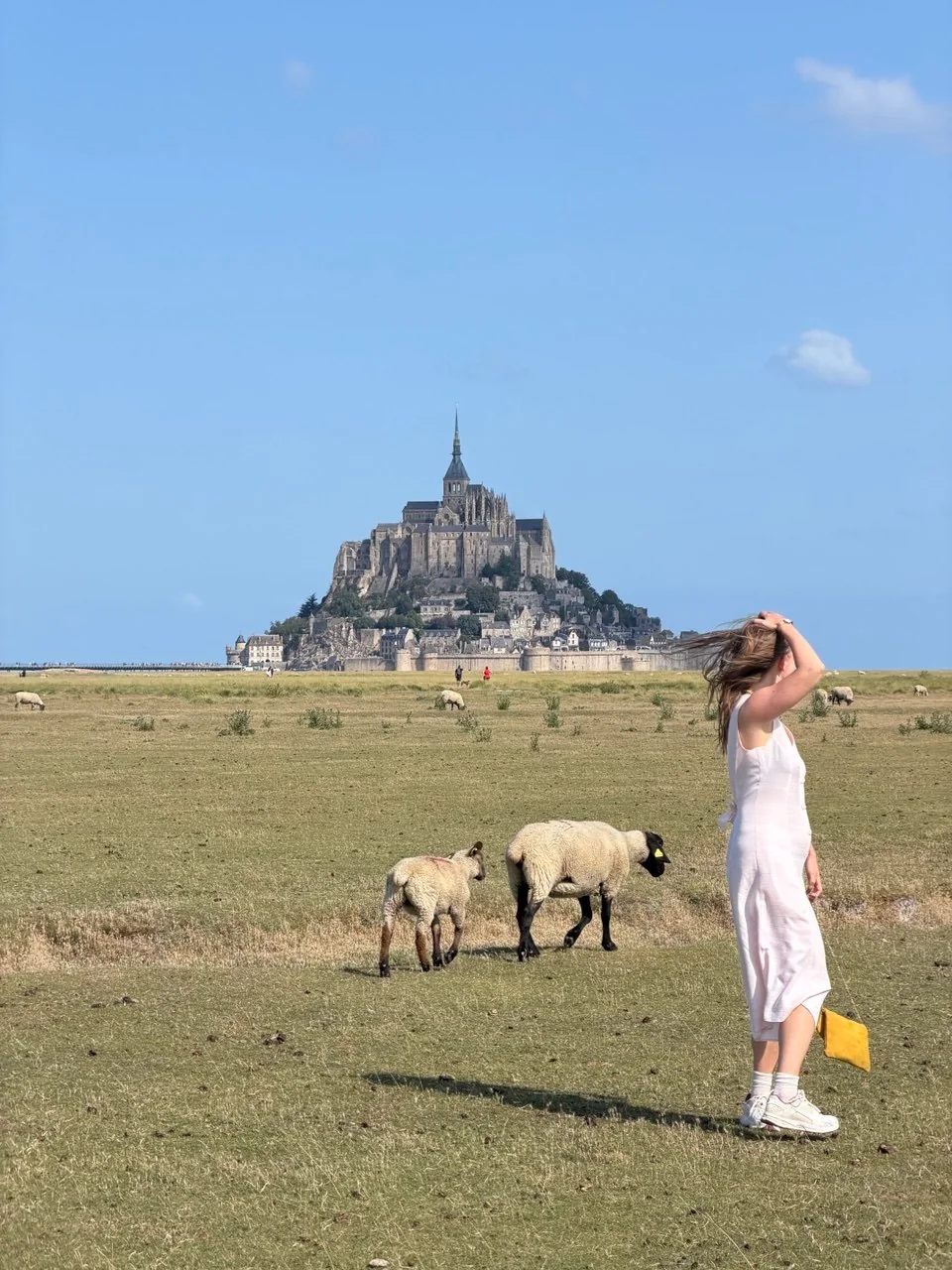 A ProTours guest with grazing sheep and Mont Saint-Michel in the distance